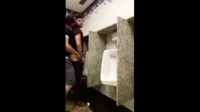 Breeding a slut in a Public Bathroom on vidfreenow.com