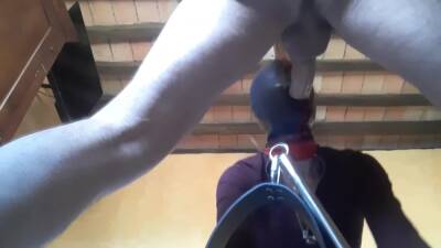 Tied To A Machine Masked And Hooded She Has To Suck A Big Dick on vidfreenow.com