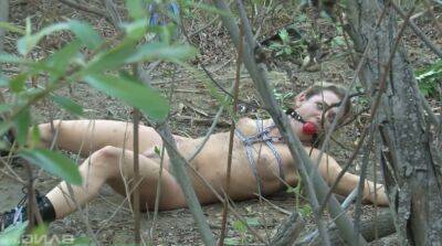 Tied up chick Bailey Blue gets her pussy fucked and jizzed in the forest on vidfreenow.com