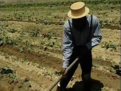 Ebony Hunks Working With Haystack In Amish Warehouse - Usa on vidfreenow.com