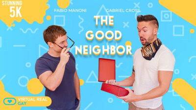 The good neighbor on vidfreenow.com