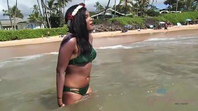 Yara Skye: Black Beauty's Intimate Encounter with a Sea Turtle on Beach on vidfreenow.com